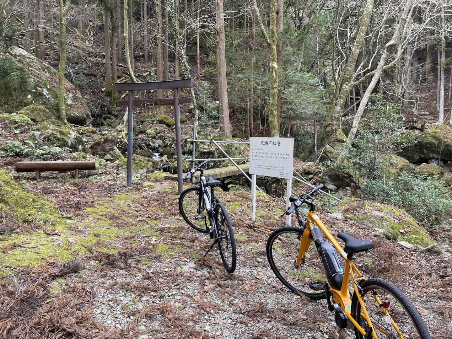 E-bikeの森林サイクリングでリフレッシュする山荘ワーケーションステイ