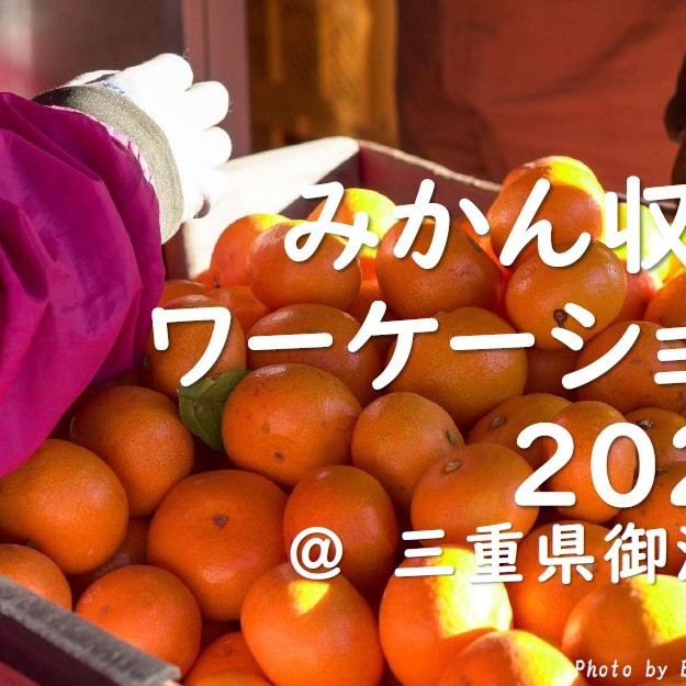 【9/13～10/14、11/25～12/22】みかん収穫ワーケーション2024＠御浜町 参加者募集中です！